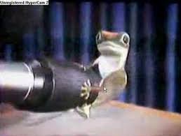 The 1999 Geico Gecko - YouTube