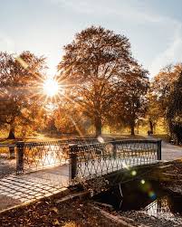 Welfengarten Im Herbst Hannover Stadt Parks
