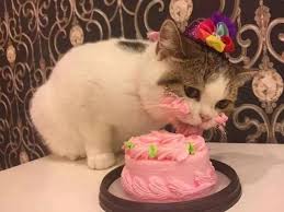 祝你生日快樂，祝你生日快樂~ - 壹讀
