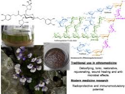 We offer juegos friv 2011, jogos friv 2011 & jeux de friv 2011 from the best game providers. The Ancient Thracian Endemic Plant Haberlea Rhodopensis Friv And Related Species A Review Sciencedirect