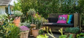 Mediterrane Pflanzen Fur Die Terrasse Der Kleine Horrorgarten Mediterrane Pflanzen Terrasse Blumen Outdoor Dekorationen