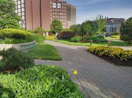Cambridge Center Roof Garden Roof Garden Places In Boston Garden