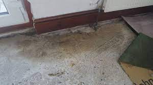 We did not find results for: Conservatory Floor Damp Diynot Forums