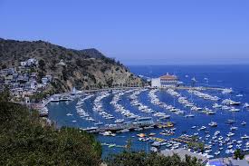 Brad holt/getty images tips for taking the catalina island ferry. Catalina Island Tucson Photographer