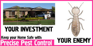 Paying for a pest inspection when selling a home—when it is required and when it isn't, and who is although pest companies are generally on the hook for a certain period, the person ultimately responsible tips for buying a home in a new area. Precise Pest Control