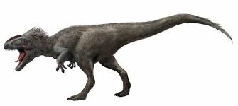 Browse 5,983 t rex stock photos and images available, or search for dinosaur or t rex skeleton to find more great stock photos and pictures. Fossilguy Com Types Of Tyrannosaur Dinosaurs And Origins Of T Rex