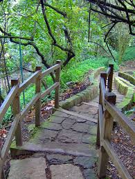 Parque Simon Bolivar Bogota Garden Bridge Outdoor Structures Outdoor