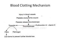 blood clotting