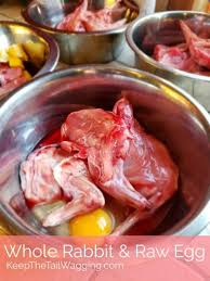Try out these simple recipes for raw dog food for healthy, nutritious meals. Easy Raw Dog Food Recipe Whole Rabbit And Raw Egg Keep The Tail Wagging