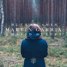 Martin Garrix David Guetta Blue Flames By Just For Fun Jamie scott & romy dya.