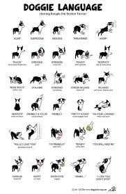 It means that your emotions are connected, you both feel tired at the same time. Does My Dog Love Me Pet Frenzy Community Dog Care