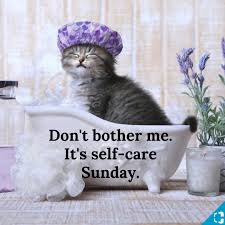 Maybe you would like to learn more about one of these? Animal Medical Center Spa Inc Home Facebook