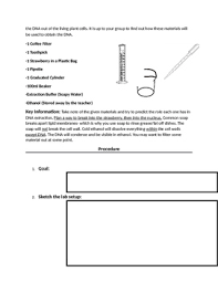 Give 2 factors that cause mutation to occur with dna. Inquiry Dna Worksheets Teaching Resources Teachers Pay Teachers