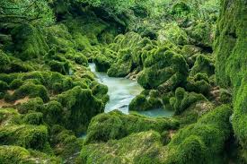 Hung Thoong Cave, Quang Binh