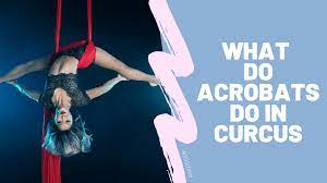 What Do Acrobats Do In A Circus? - Acroschool