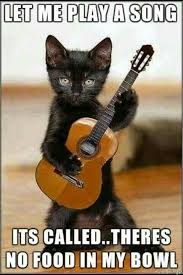Let Me Play A Song It S Called There S No Food In My Bowl Funny Animal Pictures Funny Animals Funny Cats