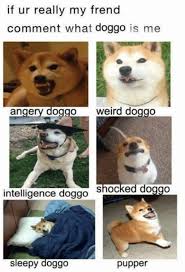 Clean dog memes for the whole family (including the good boi puppers, woofers, and doggos) thanks for 1k views everybody! Funny Animal Memes Clean