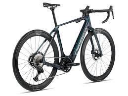 Image result for Orbea knobelii