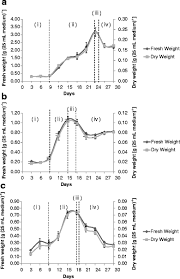 It was blended together with a green apple and lemon juice. The Establishment Of Cell Suspension Culture Of Sabah Snake Grass Clinacanthus Nutans Burm F Lindau Springerlink