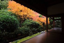 龍安寺 りょうあんじ 紅葉 プレミアムな紅葉 紅葉 京都 紅葉 紅葉 庭園