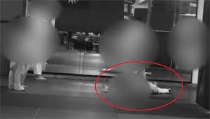 Best judo ippons of 2019 (柔道 2019). Nujalp 1uaqzm