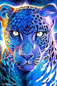 Dit Zou Ik Graag Willen Maken Want Het Heeft Een Heel Cool Effect Dan Had Ik Het Idee Om De Achtergrond Donker Te Maken Dieren Mooi Wilde Dieren Dieren