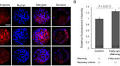 Fatty acid supplementation during warming improves pregnancy outcomes after frozen blastocyst transfers: a propensity score-matched study