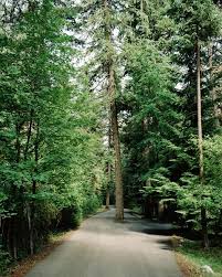 I usually would just show up and always. Tumblr Hayden Idaho Idaho Favorite Places