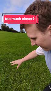 Decision Making for Clover Field Farm