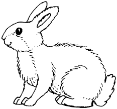 Google Image Result For Http Www Coloringpages1001 Com Coloring Pages Rabbit Rabbit Animal Coloring Pages 3 Gi Malvorlagen Tiere Ausmalbilder Ausmalbild Hase