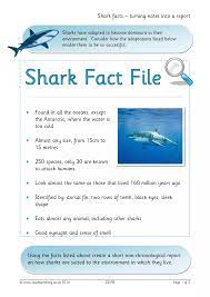 Shark Facts Turning Notes Into A Report Shark Facts Shark Facts