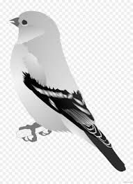 Weitere ideen zu vogelbeobachtung, vögel, vögel als haustiere. Finken Vogel Heimischen Kanarischen Clip Art Europaische Stieglitze Vogel Png Herunterladen 1751 2400 Kostenlos Transparent Vogel Png Herunterladen