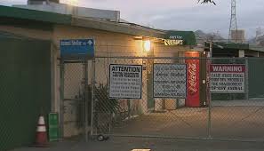 Let us know what you think! San Bernardino Shelter No We Are Not Euthanizing All Our Animals Cbs Los Angeles