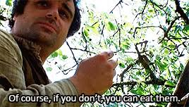 and sometimes Tom — Edwardian Farm // Ep. 11, July Alex and Peter pick...