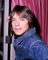 780 David Cassidy ideas