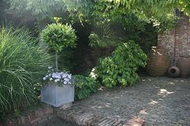 Loorber Unterpflanzung Gartenreise Holland Belgien Garten Topfgarten Kubelpflanzen