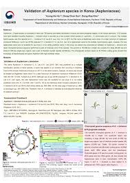 PDF) Nomenclatural validation and chloroplast genome of Korea endemic  species, Asplenium × bimixtum