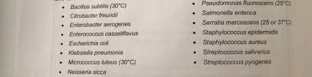 Solved An Unknown In Microbiology Contains Both A Gram Po