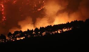 Photo Les incendies en Syrie enfin matriss aprs dix jours de lutte - Saint ...
