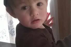 Fundraiser by Sharron Rotunno : In Memory of Aven