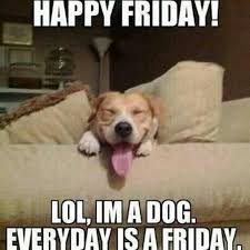 But it's just that special air about the day where everyone knows the clock is ticking right down to happy hour. 60 Funny Friday Memes Quotes For Hump Day Explorepic