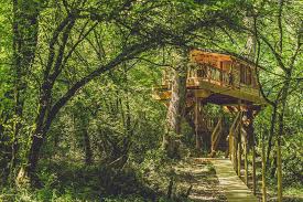 Cabanes als arbres ofereix als amants de la naturalesa el goig d'una estada en contacte directe amb l'arbre i el seu ecosistema, els plaers d'un exili entre el fullatge, l'experiència. Alojamientos Originales En Navarra 10 Lugares Para No Echar De Menos El Verano Selecciondn Noticias De Navarra En Diario De Navarra