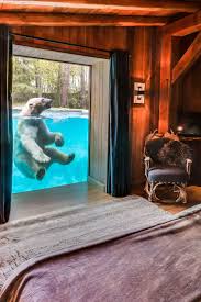 Sleep With Polar Bears In A French Zoo Set Within House Decor Modern Zoo New York City Apartment