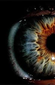 Firecracker Tolle Augen Augen Malen Augen Fotografie