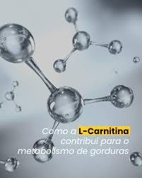 A L-Carnitina é um transportador natural de ácidos graxos: leva as gorduras até as mitocôndrias, onde são transformadas em energia. O resultado? Melhora no metabolismo, auxílio na redução da gordura corporal e