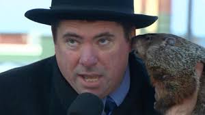 Groundhog takes a nibble of Wisconsin mayor
