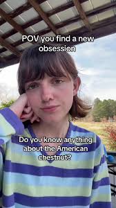 Discover the Marvel of the American Chestnut Tree