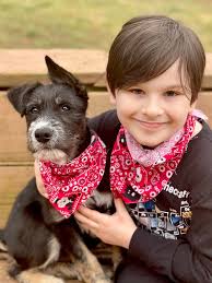 Just so everyone knows…. We had animal control called