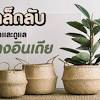 ลายคลอน จากลา น้ำตาเจ้าคงล้นเอ่อ บอกความจริงเถิดหนา อ้ายมาเอาใจเพียงเธอ คอยพ. 1