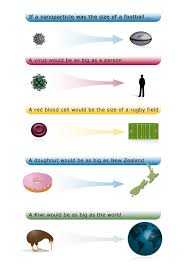 Nanoparticle Size Comparison Science Learning Hub